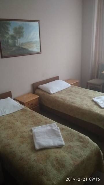 Фото номера Стандартный двухместный номер с 2 отдельными кроватями Отель Hotel Olgas г. Глубокое 4